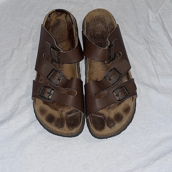 Betula - Picture 1 of 6